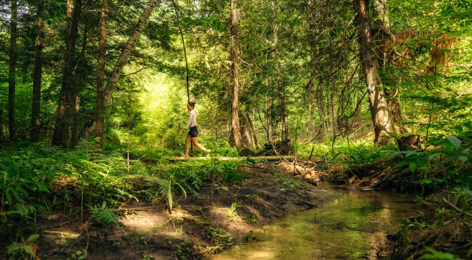 A hiker walking near a stream