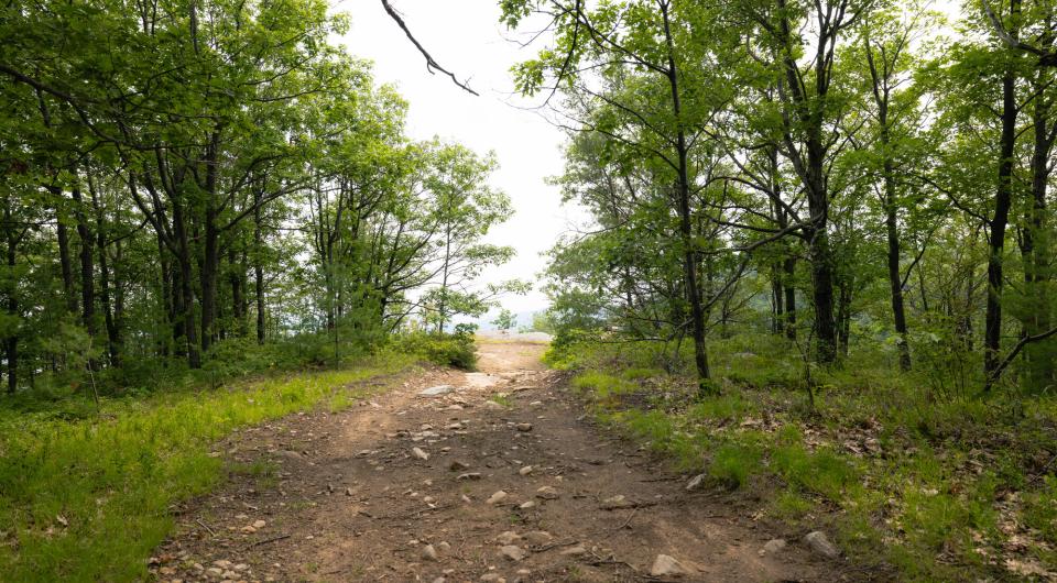 The approach to a forested overlook