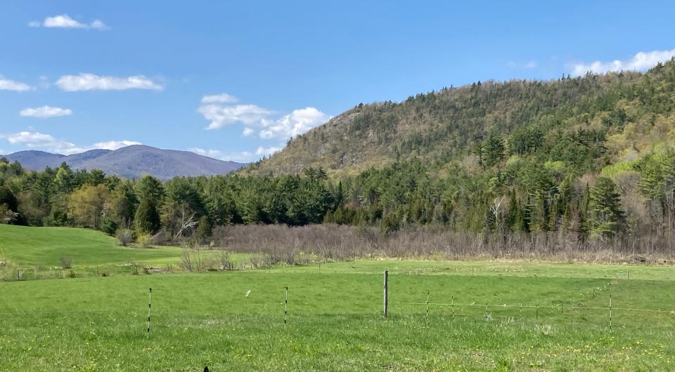 A wide open field surrounded by mountain trees in the spring. 