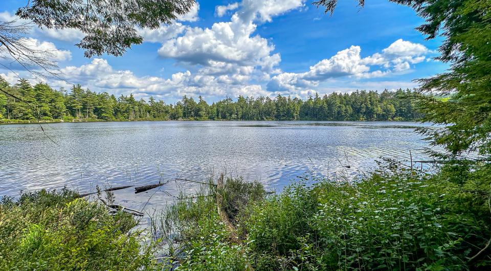 Clear Pond