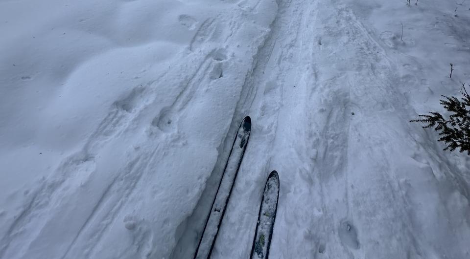 Skiing on Benny's Trail