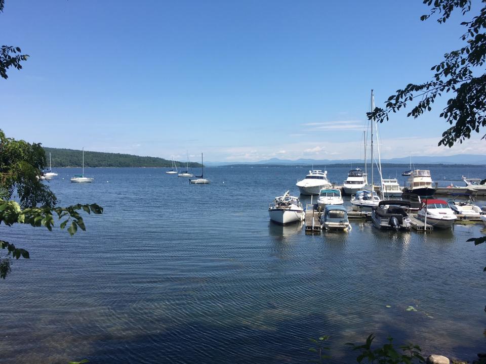 boats in the marina