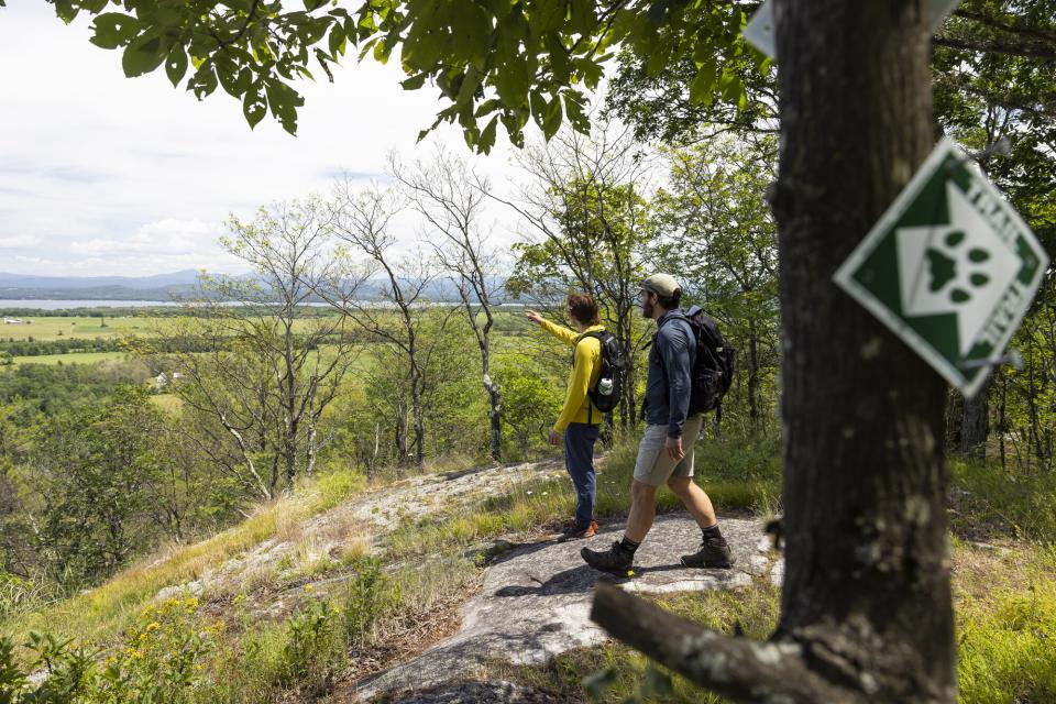 Two people on an overlook