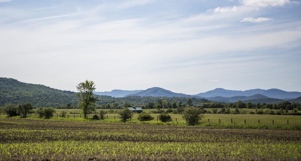 a field of new crops grows in front of mountains.