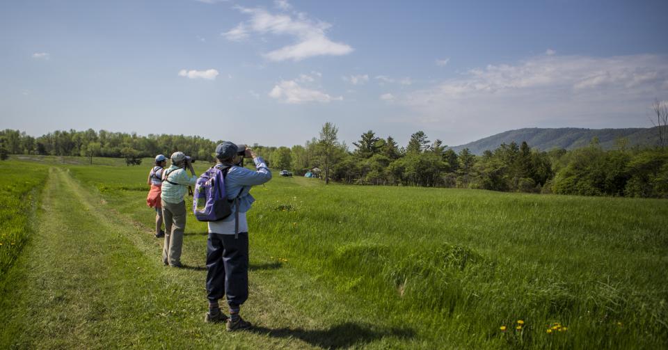 three people search for birds on a sunny day.