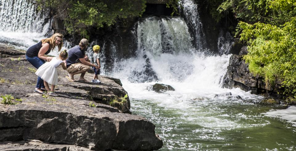 a family of four looks at a waterfall.