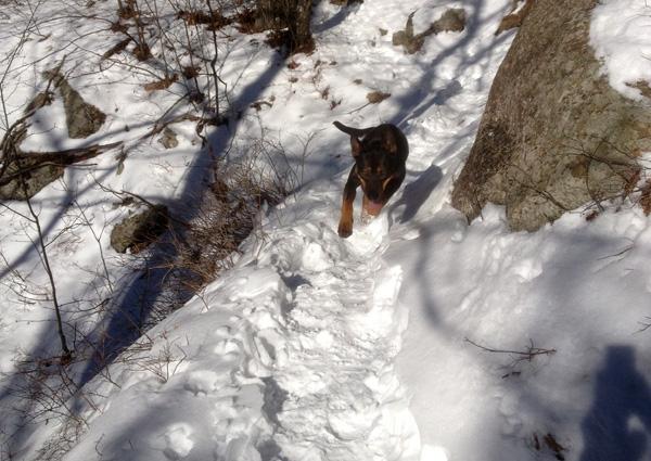 Katie on Coon Mountain Trail