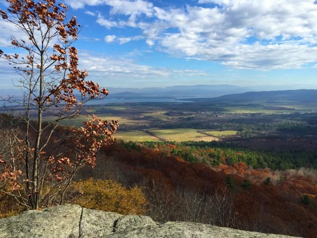 Wildway Overlook