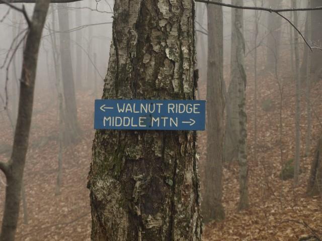 Trail sign