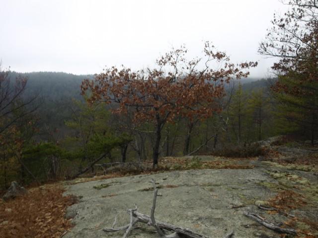 Bear Knob