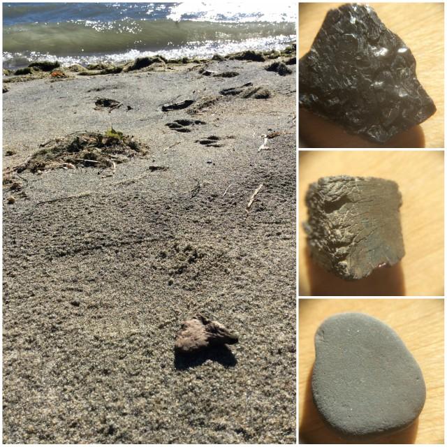 What I took home. At left, a texture chip of bark that has reached a good shape. At right, top, and center, some interesting layered shapes, while the bottom right shows a smooth "worry stone," just right for rubbing between our fingers.