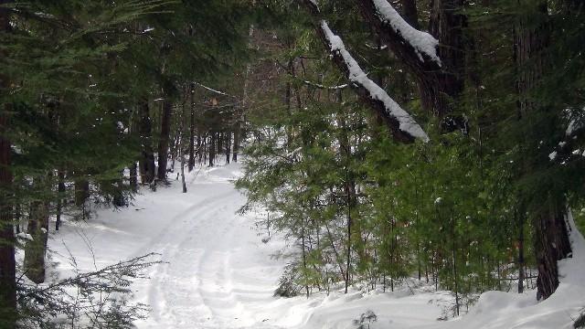 A pleasant bend in the trail.