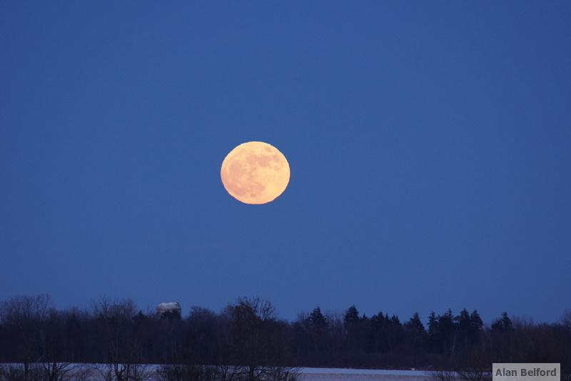 While this image doesn't do it justice, the supermoon was also super cool.