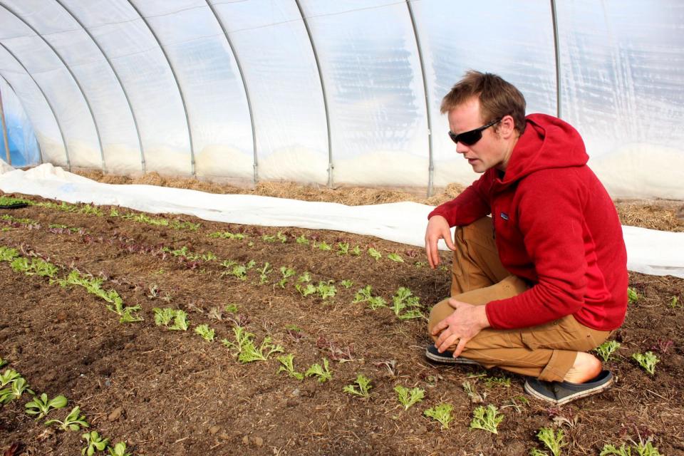 Life in the greenhouse.