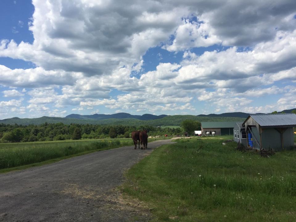 In the distance are some stunning mountains.