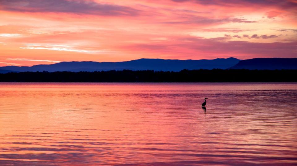 Lake Chaplain factory Sunrise