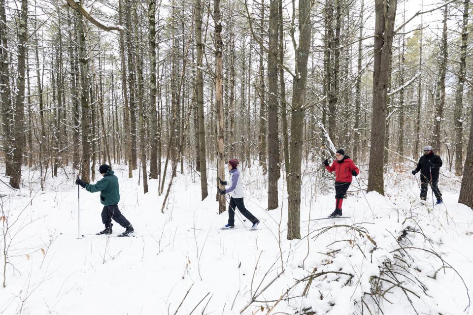 a group xc skiing through the woods