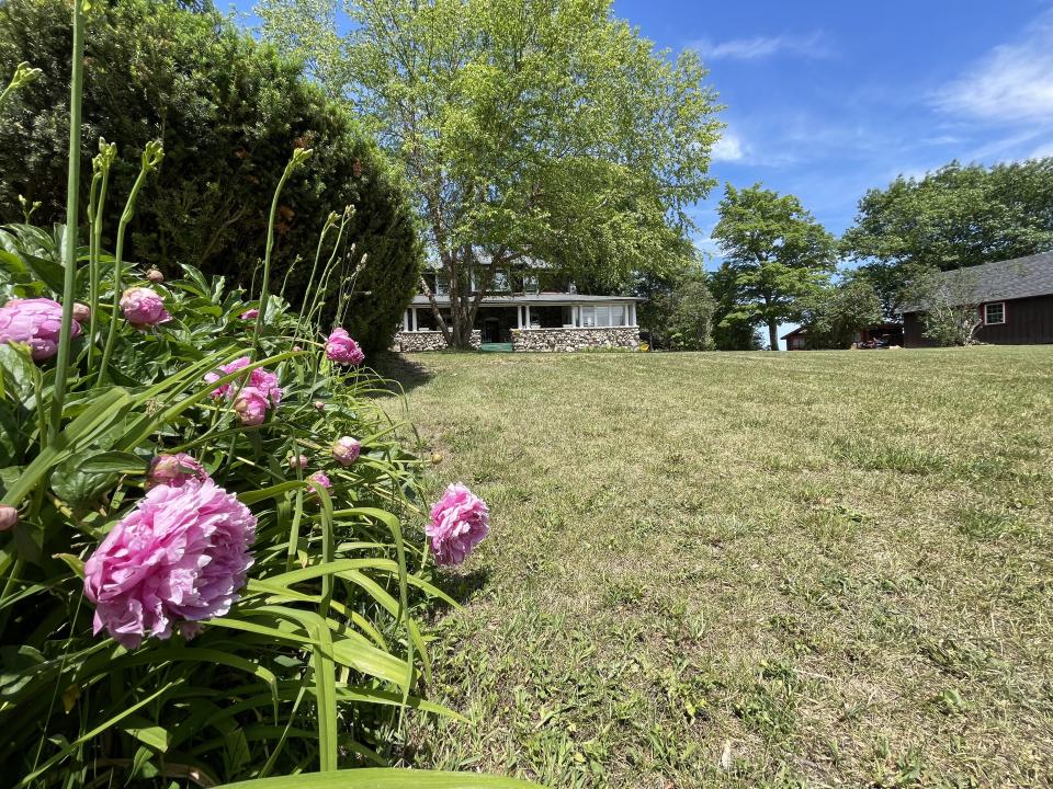 Pink flowers on the property with the main building and a tree in the background.