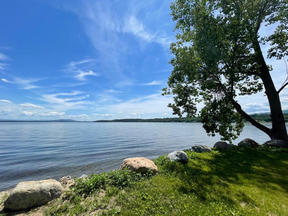 Lake view with a tree to frame the image and distance mountains.