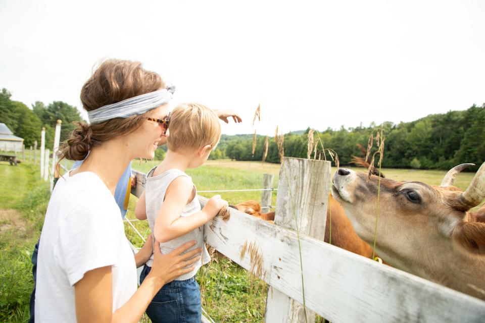 A family with farm animals