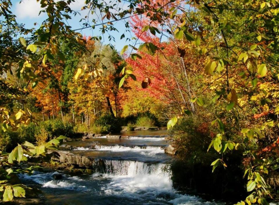 A waterfall calmly flows in between foliage.