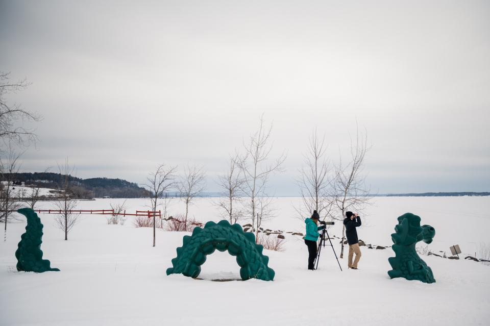 A sculpture of a lake monster in the snow