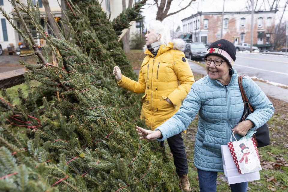 A couple older folks looking at christmas trees