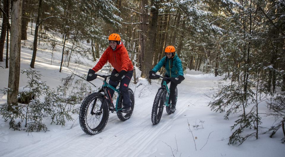 Two people fat-tire biking