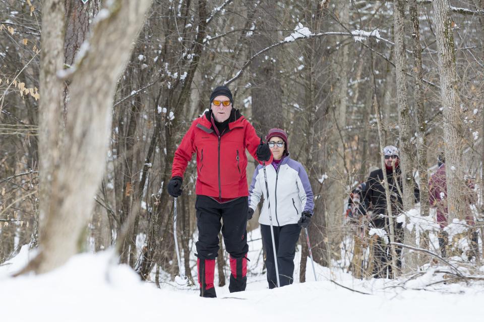 A few people crosscountry skiing in the woods