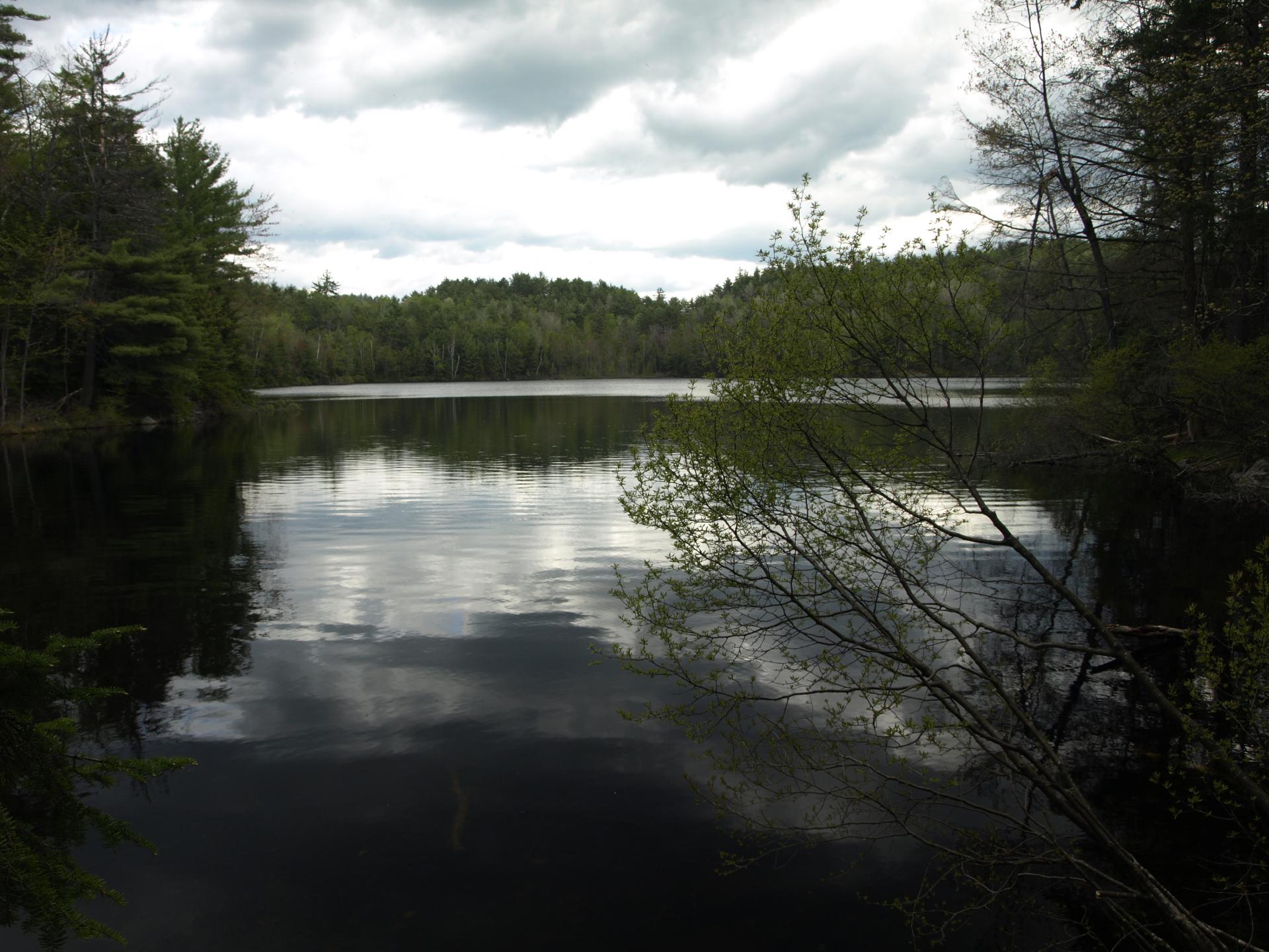 Round Pond is a quiet gem of a pond.