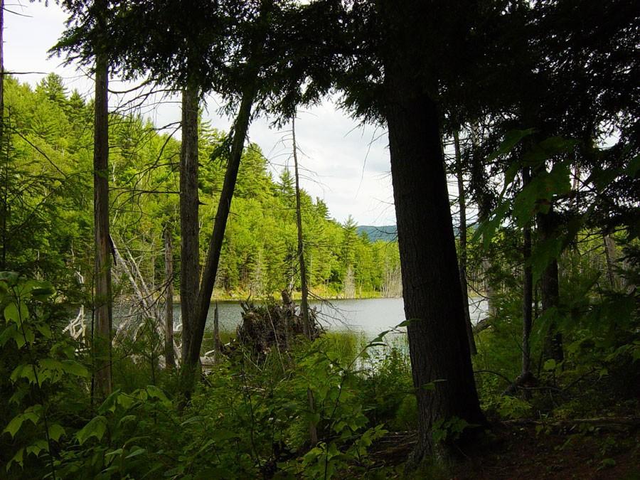 This is one of those trails where the pond suddenly reveals itself.