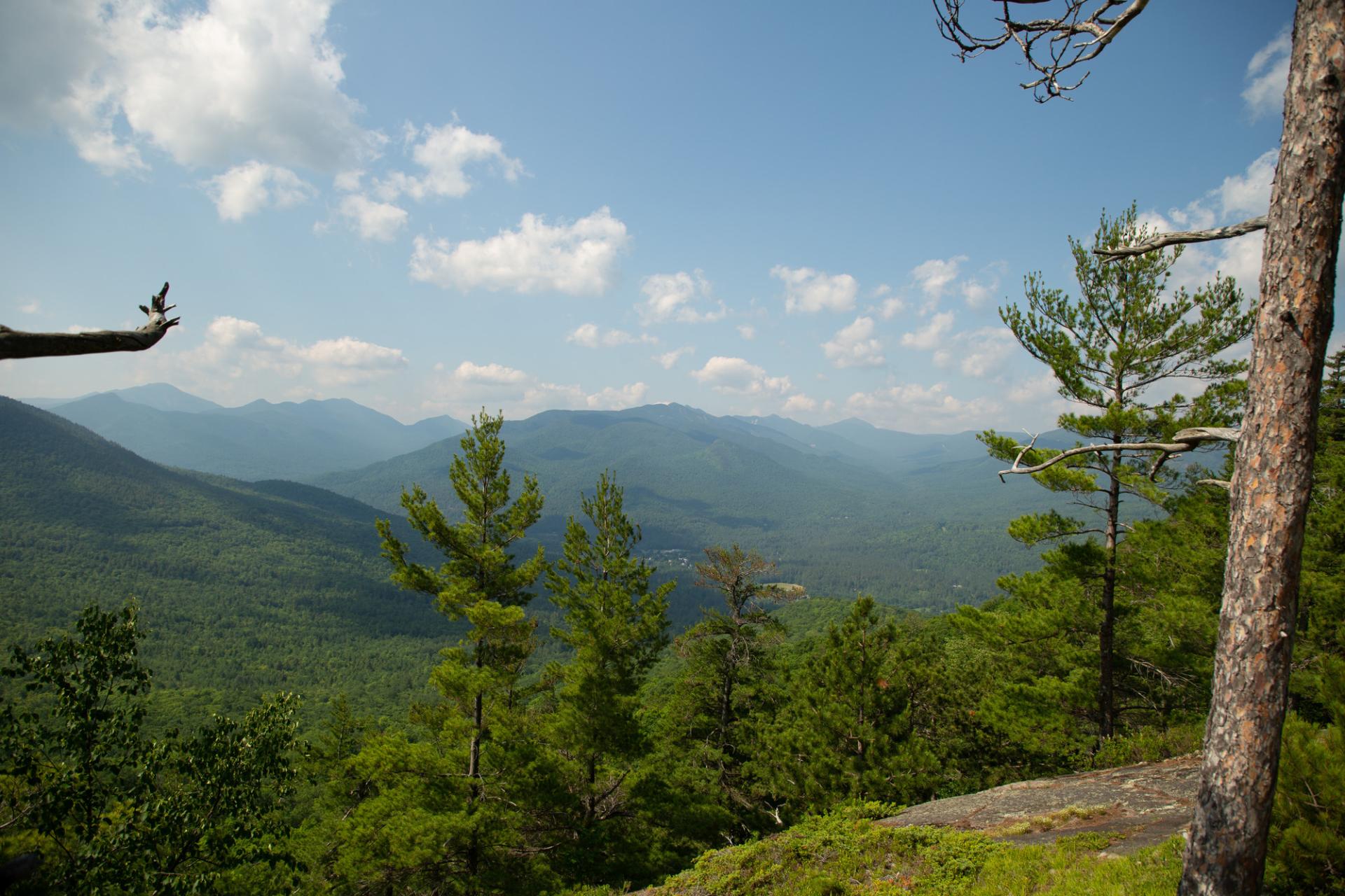 A view of tall&#44; tree-covered mountains