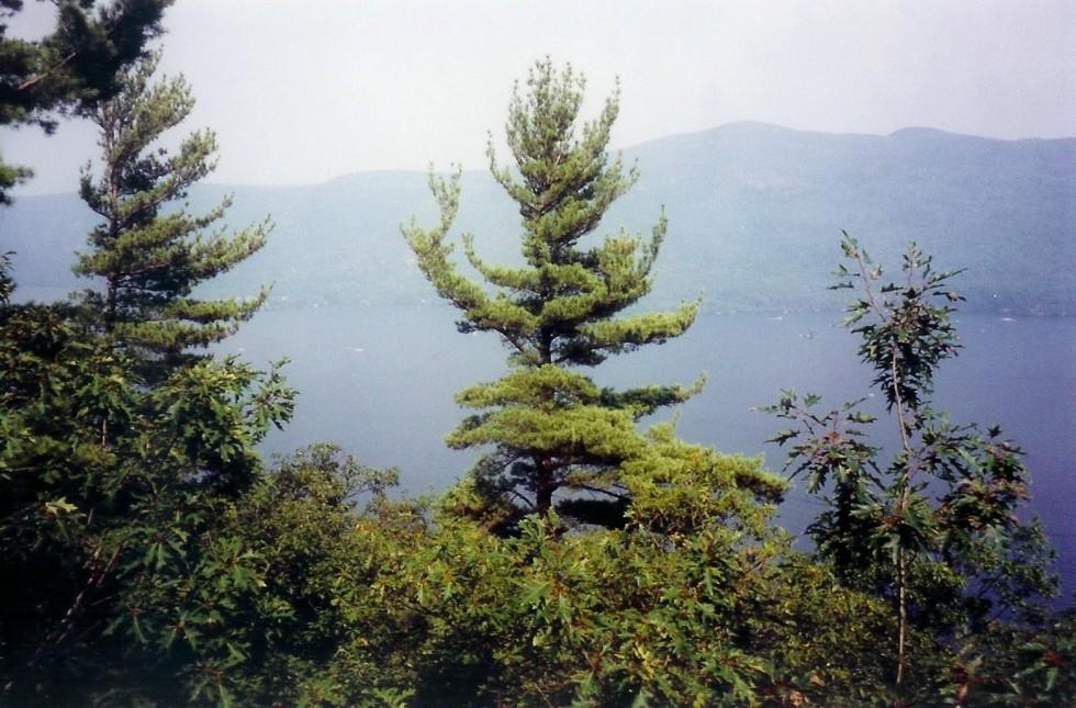 Trees blocking some views of Lake George from the Deer Leap cliff