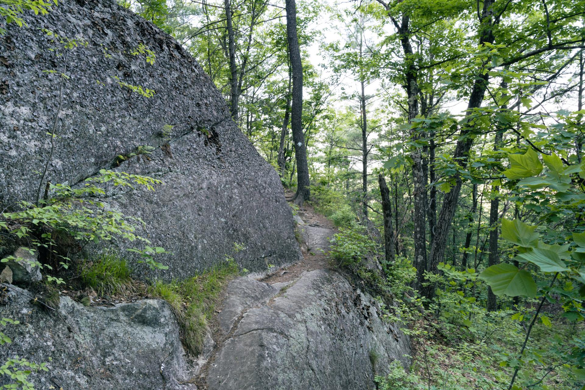 A trail winds around a slabby rock