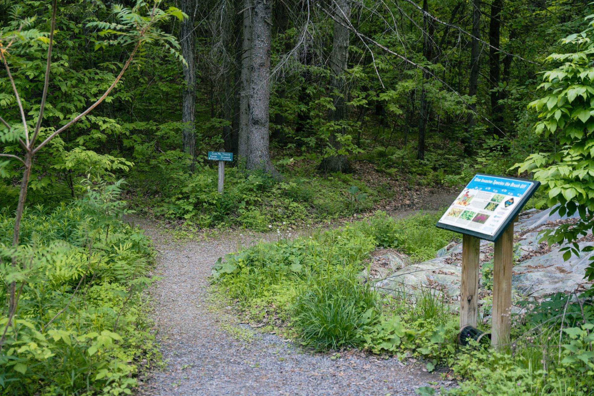 An interpretive sign next to a trail