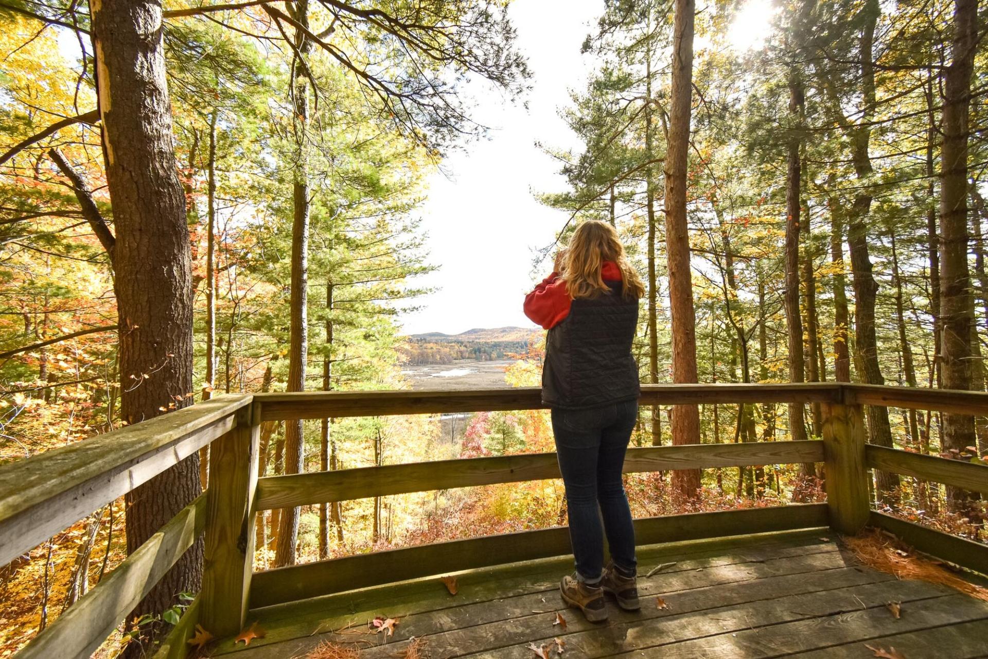 A birder at a wooden viewing platform in Wickham Marsh.